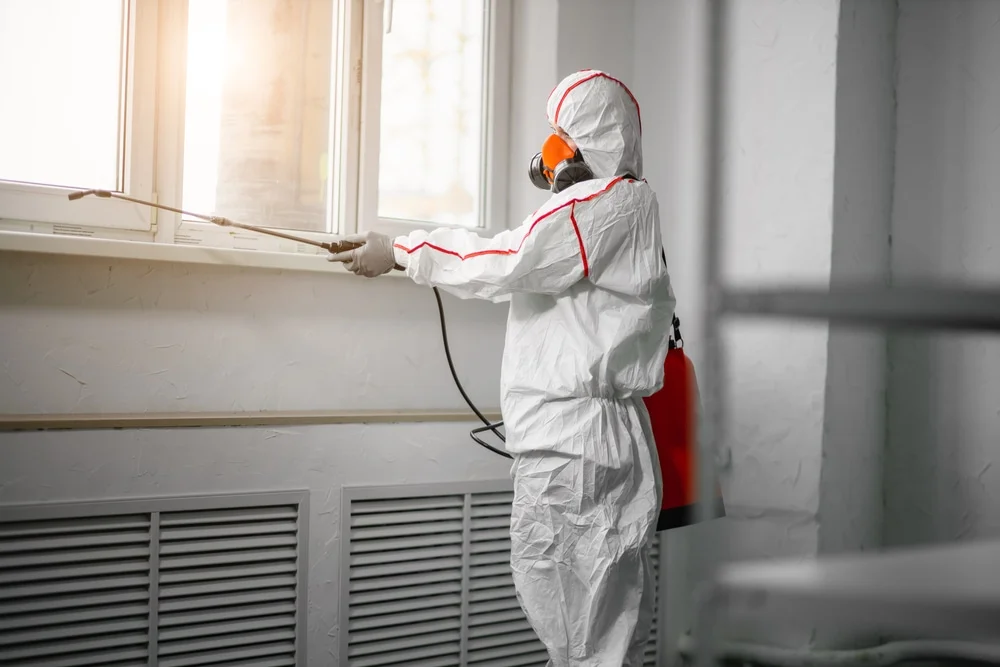 Professional mold remediation services in Elwood, IL